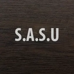 Pourquoi créer une SASU